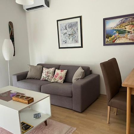 Lovely Pink Flat Appartamento Podgorica Esterno foto